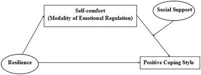 The Influence of Mental Resilience on the Positive Coping Style of Air Force Soldiers: A Moderation- Mediation Model